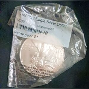 American Eagle Silver Dollar Coin